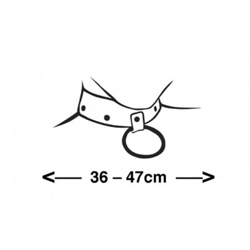 Skórzana obroża BDSM z zapięciem na smycz ZADO