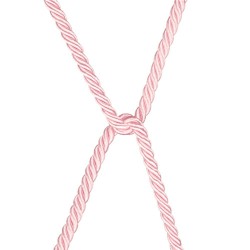 Różowa lina bondage Rebellion Reign Lovetoy