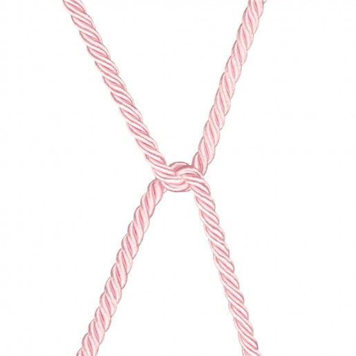 Różowa lina bondage Rebellion Reign Lovetoy