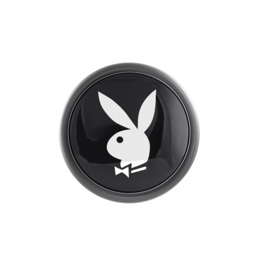 Aluminiowy korek analny rozmiar S Playboy