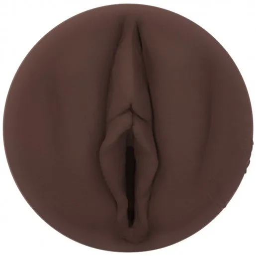 Masturbator pochwa Fleshlight Girls Nicole Kitt Purrrrrfection