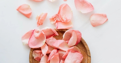 Czy Wibrator Może Uszkodzić Błonę Dziewiczą Fakty i Mity